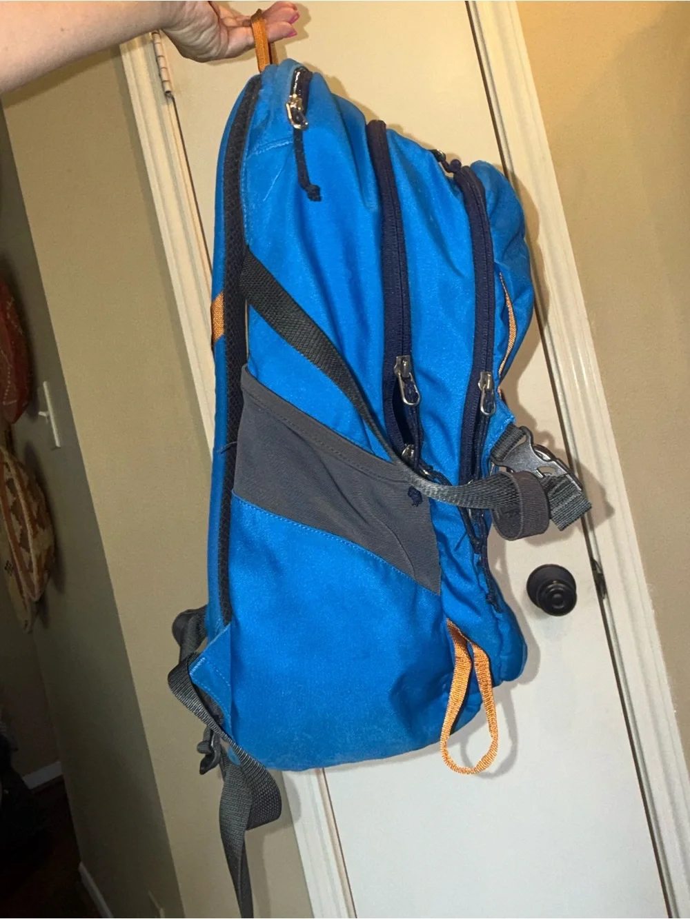 Patagonia Backpack